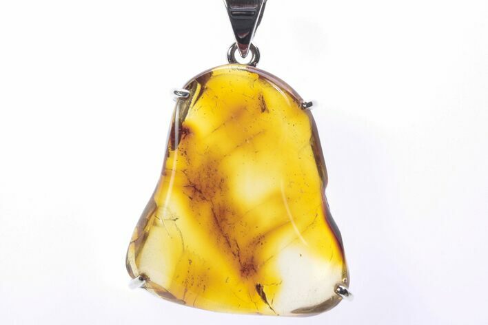 Polished Baltic Amber Pendant (Necklace) - Sterling Silver #241216